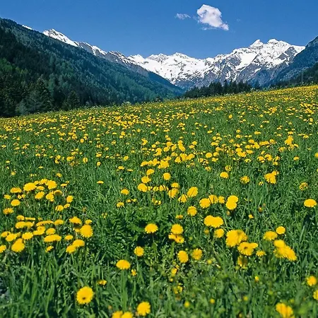 Wolfenhof بيت خشبي كولّي إيساركو
